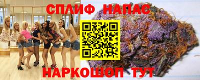 МДПВ Пенза