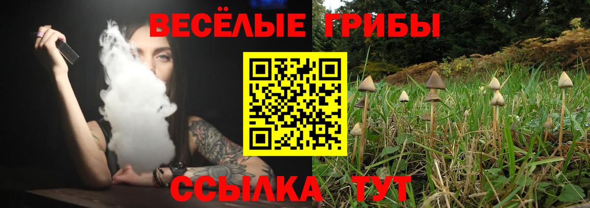 купить наркотики сайты  Галлюциногенные грибы MAGIC MUSHROOMS  Вход с VPN  Прохладный 